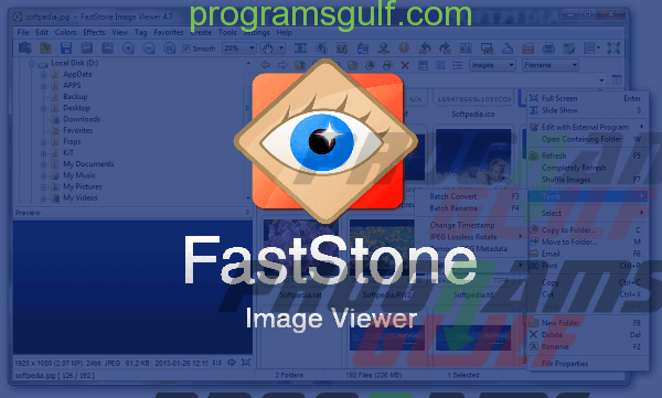 برنامج FastStone Soft