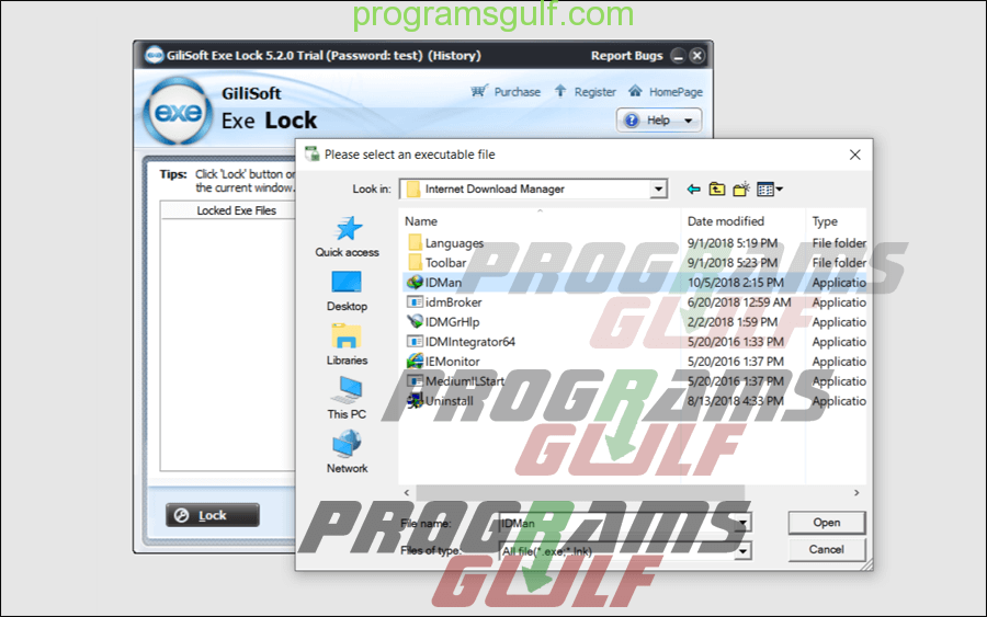 GiliSoft Exe Lock 10.8 download the new version for iphone